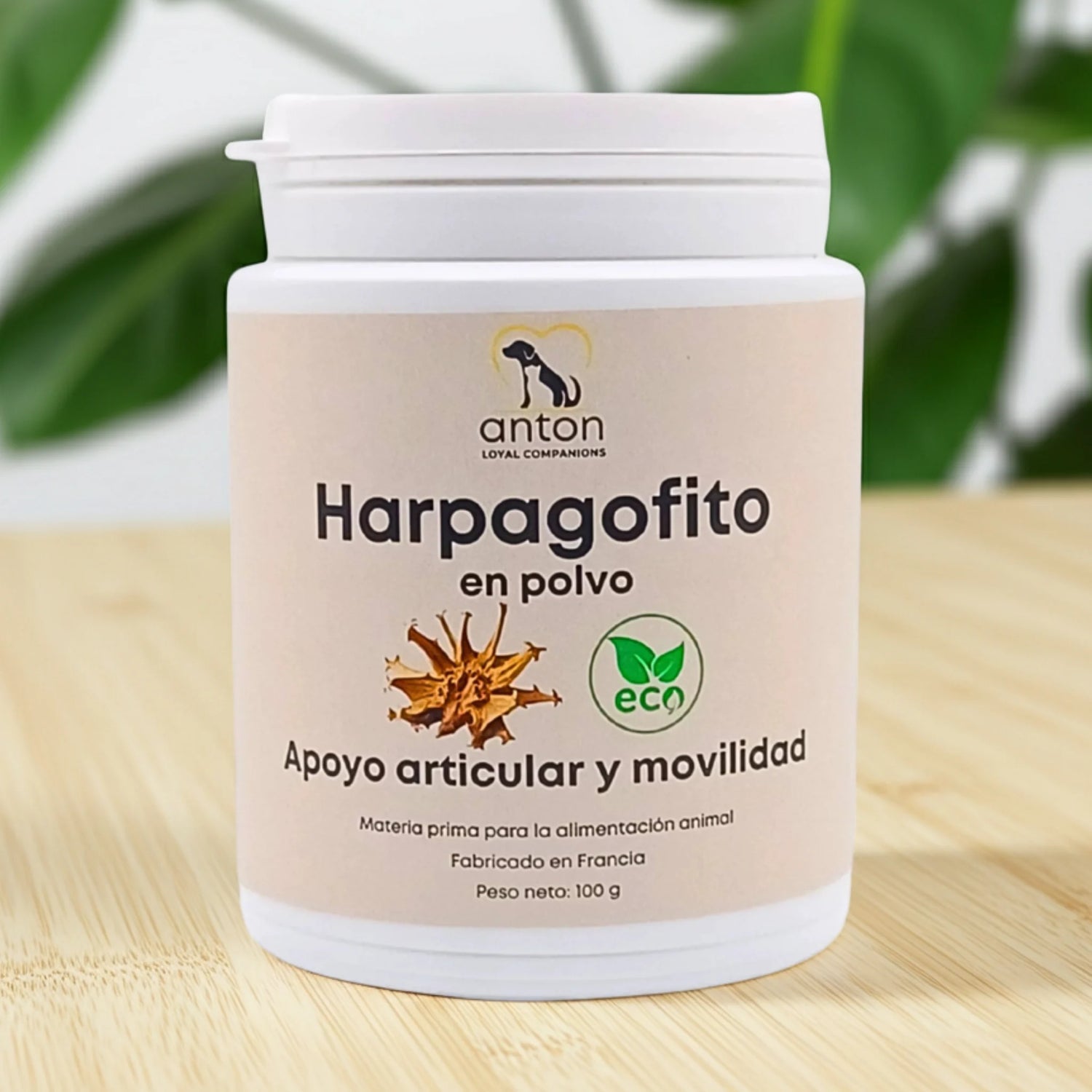 Harpagofito ECO en polvo para perros y gatos. Suplemento natural que apoya la movilidad y el bienestar articular. Fabricado en Francia por ANTON Loyal Companions.