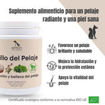 Suplemento natural ecológico ANTON Loyal Companions para perros y gatos que favorece un pelaje brillante y saludable, mejora la hidratación y la protección cutánea y apoya la vitalidad del pelaje.