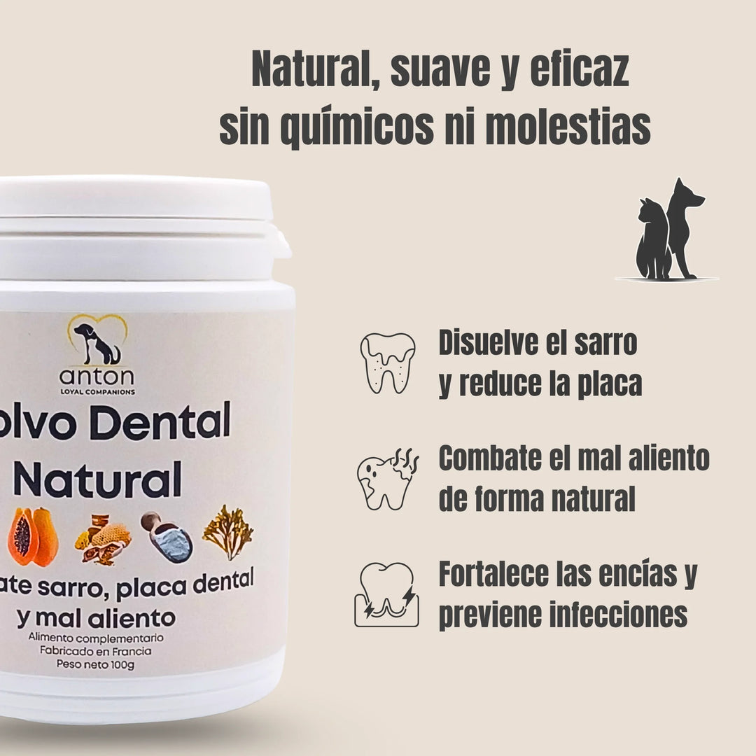 Polvo dental natural para perros y gatos – disuelve el sarro, reduce la placa, combate el mal aliento y fortalece las encías de forma natural