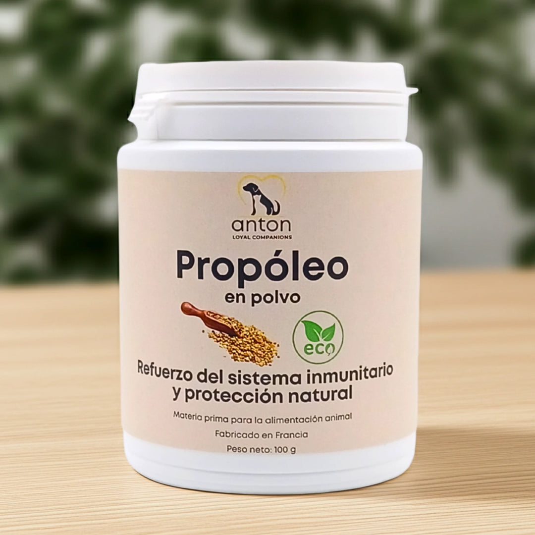 Propóleo ECO en polvo para perros y gatos. Suplemento natural que refuerza el sistema inmunitario y la protección natural. Fabricado en Francia por ANTON Loyal Companions.