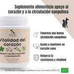 Beneficios del suplemento ANTON Vitalidad del Corazón – Favorece la circulación sanguínea, corazón sano y resistencia diaria