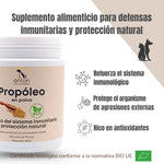 Beneficios del propóleo ecológico para perros y gatos – fortalece la inmunidad y protege frente a agresiones externas.