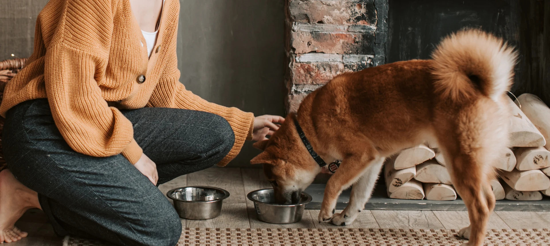 Persona acompañando a su perro durante la alimentación, ilustrando un uso responsable y consciente de suplementos naturales para perros y gatos