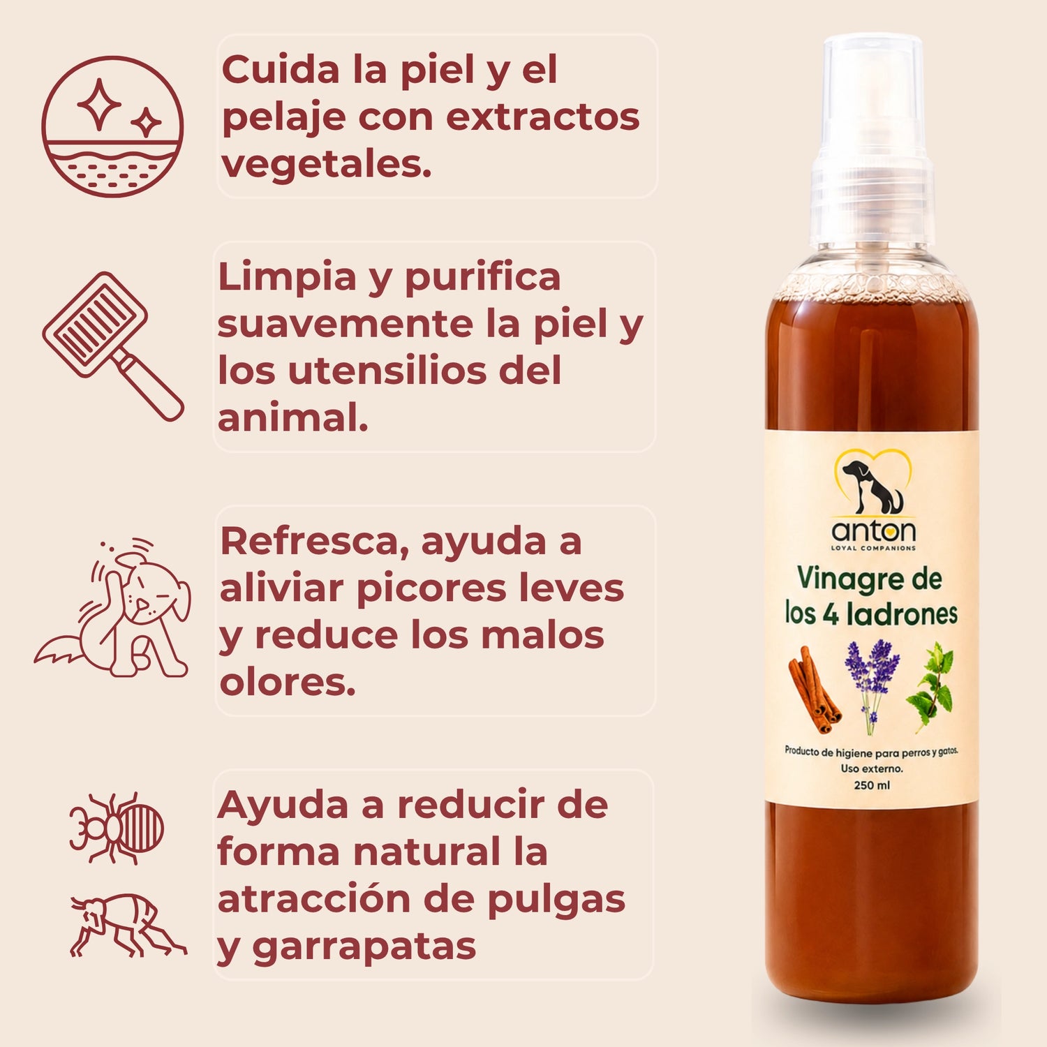 Beneficios del Vinagre de los 4 Ladrones ANTON Loyal Companions para perros y gatos: ayuda a cuidar la piel y el pelaje, limpiar suavemente, refrescar, reducir los malos olores y disminuir de forma natural la atracción de pulgas y garrapatas.