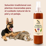 Vinagre de los 4 ladrones ANTON Loyal Companions para perros y gatos, solución tradicional con plantas maceradas para el cuidado natural de la piel y el pelaje.
