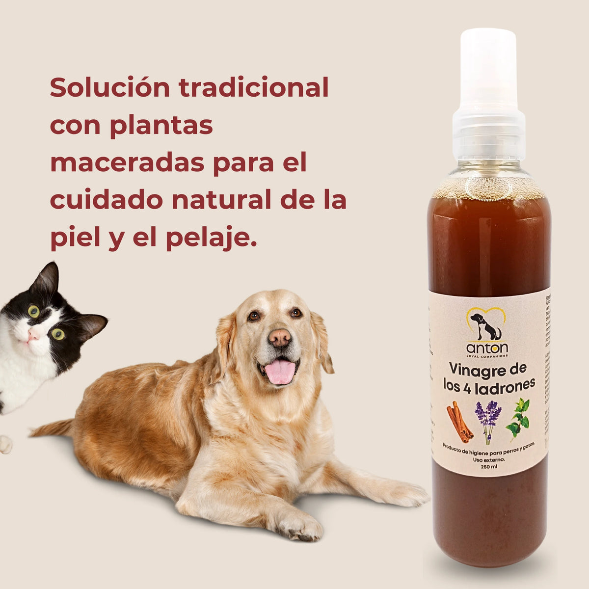 Vinagre de los 4 ladrones ANTON para perros y gatos con plantas maceradas para el cuidado natural de la piel y el pelaje