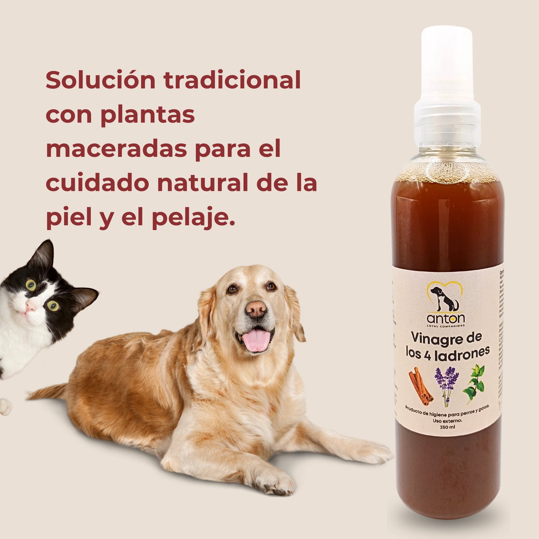 Vinagre de los 4 ladrones ANTON para perros y gatos con plantas maceradas para el cuidado natural de la piel y el pelaje