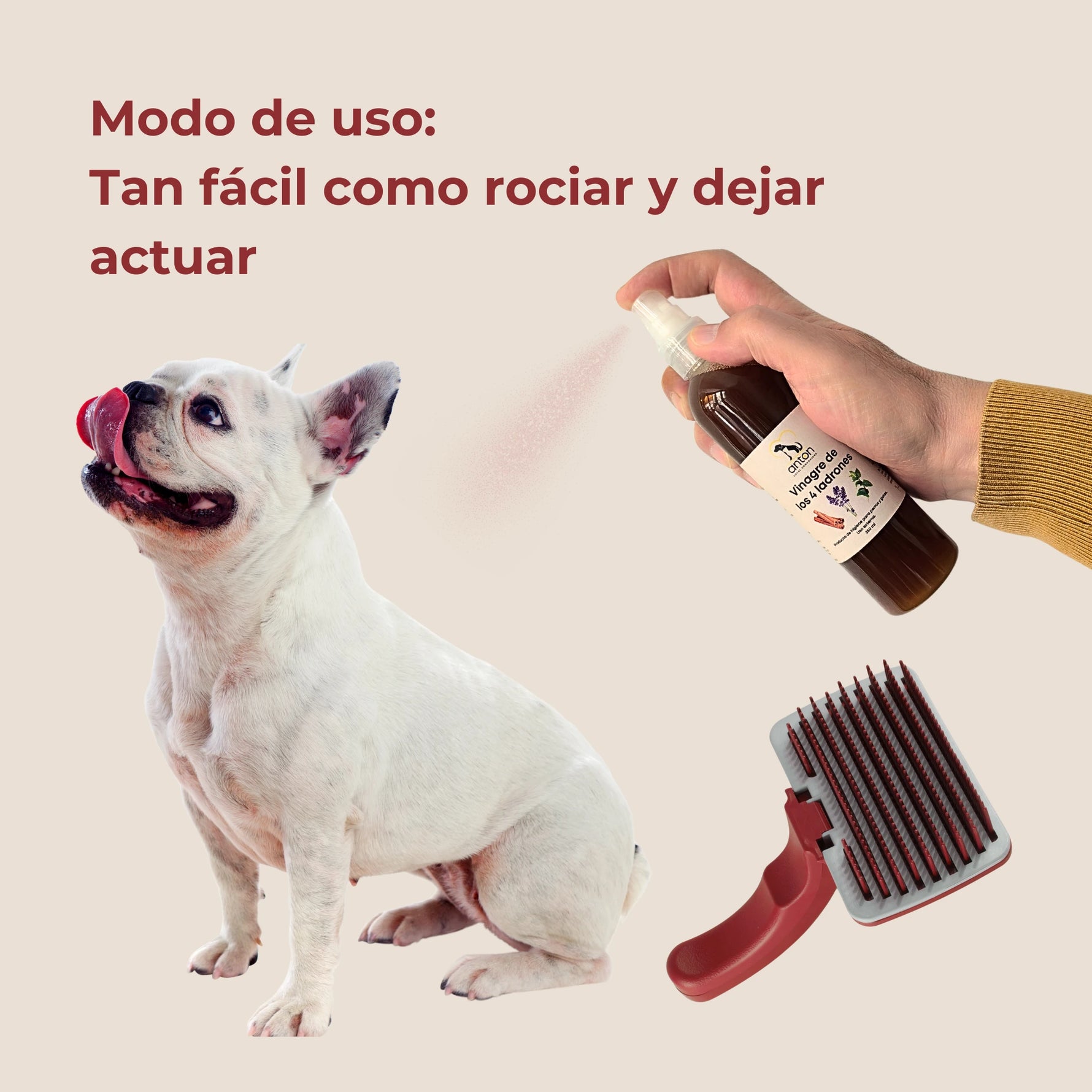 Modo de uso del vinagre de los 4 ladrones ANTON para perros y gatos aplicado en spray sobre el pelaje antes del cepillado