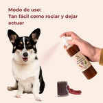 Modo de uso del Vinagre de los 4 ladrones ANTON LC en spray para perros y gatos aplicado sobre el pelaje y accesorios