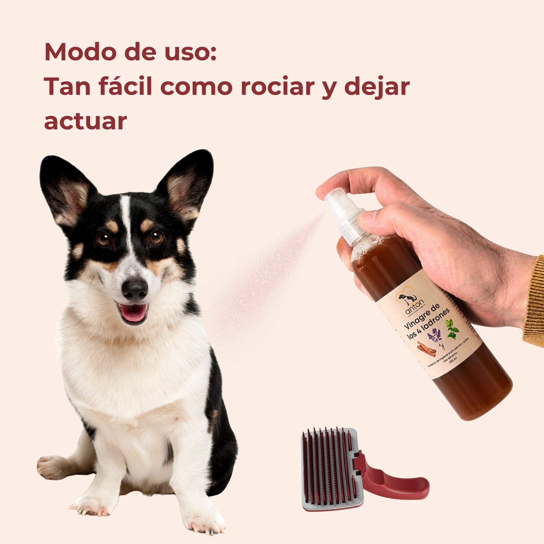 Modo de uso del Vinagre de los 4 ladrones ANTON LC en spray para perros y gatos aplicado sobre el pelaje y accesorios