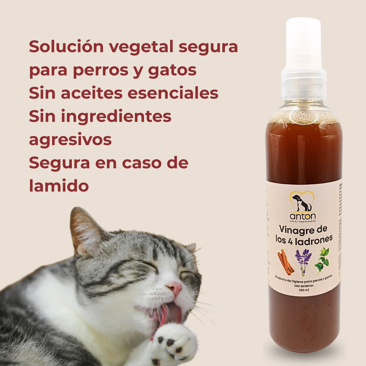 Vinagre de los 4 ladrones ANTON solución vegetal segura para perros y gatos sin aceites esenciales ni ingredientes agresivos