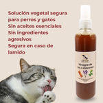 Vinagre de los 4 ladrones ANTON solución vegetal segura para perros y gatos sin aceites esenciales ni ingredientes agresivos