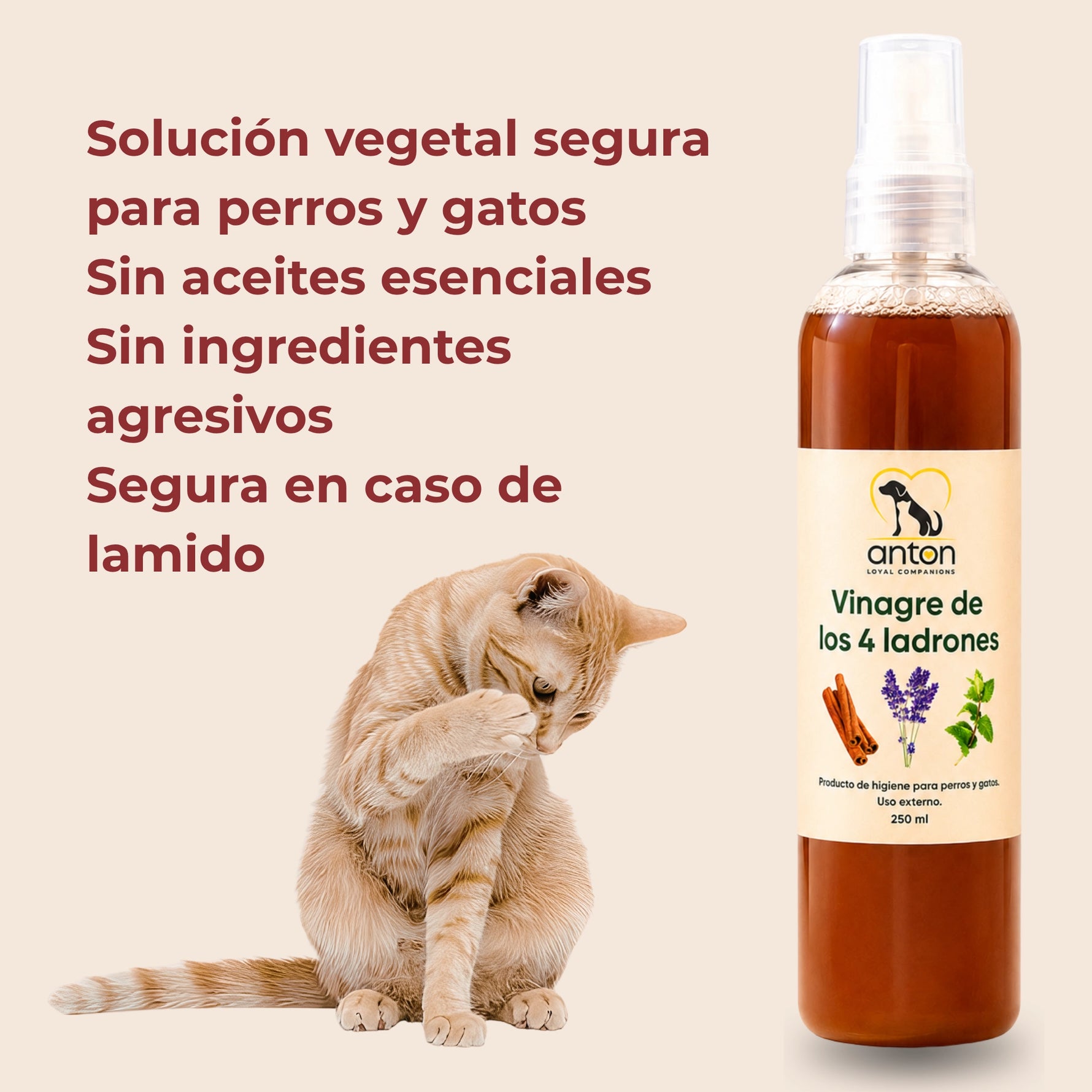 Vinagre de los 4 Ladrones ANTON Loyal Companions para perros y gatos, solución vegetal sin aceites esenciales ni ingredientes agresivos, segura incluso en caso de lamido.