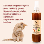 Vinagre de los 4 ladrones ANTON LC solución vegetal segura para perros y gatos sin aceites esenciales ni ingredientes agresivos