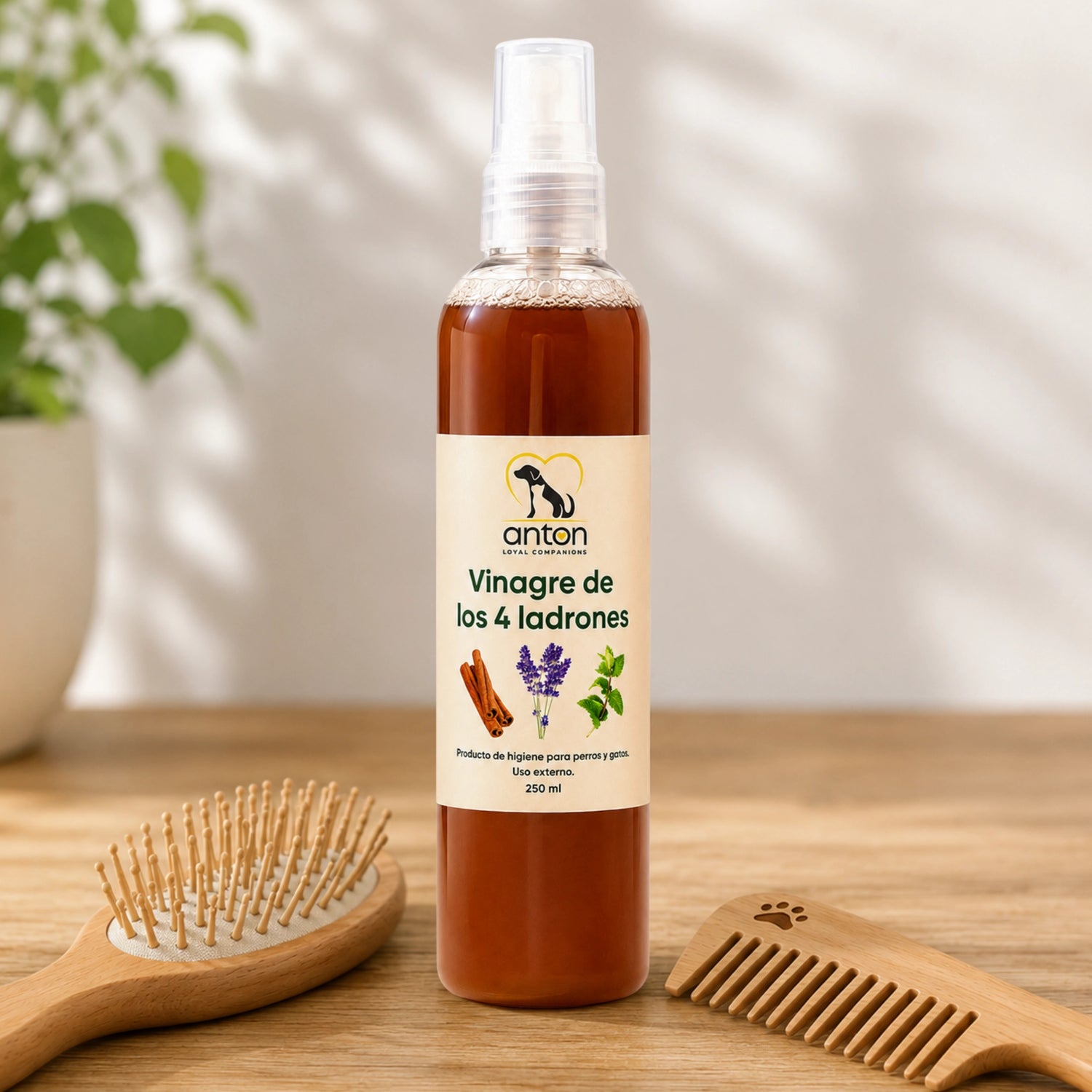 Vinagre de los 4 ladrones ANTON Loyal Companions para perros y gatos en spray de 250 ml, producto de higiene natural para uso externo.