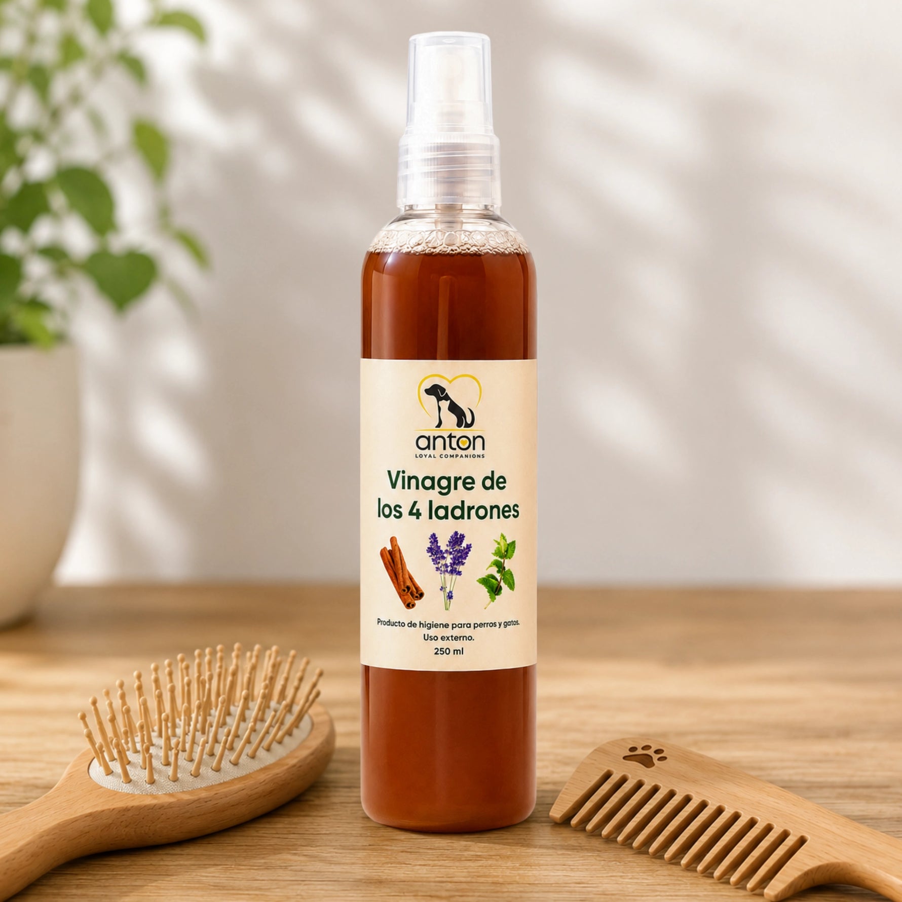 Vinagre de los 4 ladrones ANTON Loyal Companions para perros y gatos en spray de 250 ml, producto de higiene natural para uso externo.